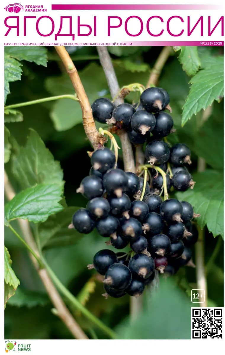 Журнал Ягоды России №1(13) 2025