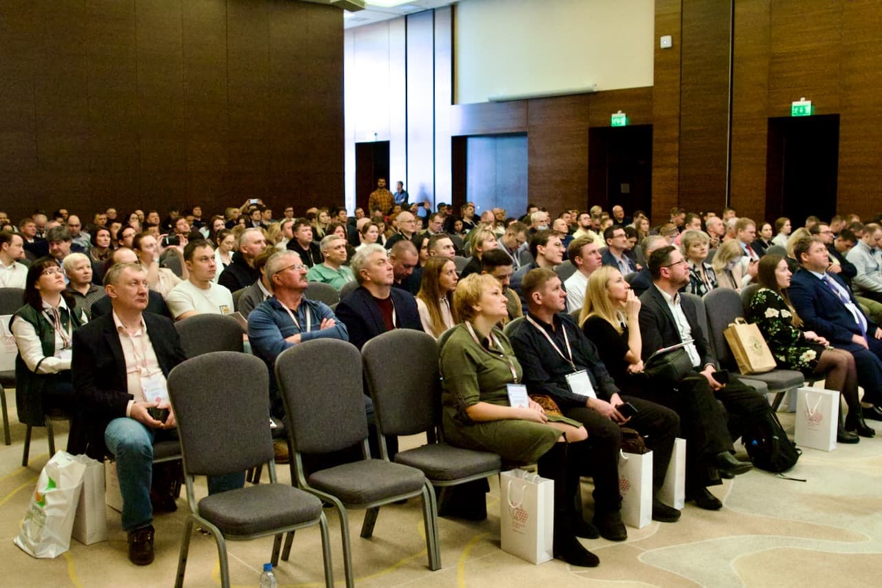 Ягоды России 2022